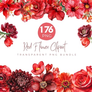 Puede incluir: Un vibrante paquete de arte digital con 176 archivos PNG de flores rojas. La imagen muestra una variedad de flores, incluyendo rosas, hibiscos y peonías, dispuestas en un borde decorativo. El texto dice "Red Flower Clipart, Transparent PNG Bundle."