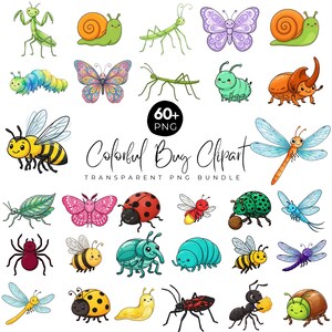May include: A collection of colorful, cartoon-style bug illustrations, including butterflies, bees, ladybugs, and dragonflies. The image includes the text "Colorful Bug Clipart" and "60+ PNG".