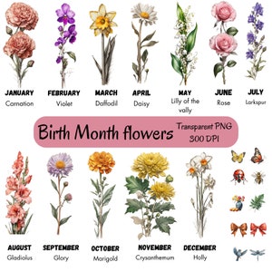 Pacote de clipart de flores do mês de nascimento 50+, aquarela floral antiga, clipart de flores do mês de nascimento em aquarela, clipart botânico, download instantâneo