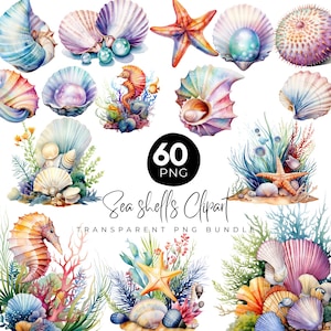 Paquete de 60 imágenes prediseñadas de conchas marinas, imágenes prediseñadas de anémona de mar (PNG), conchas de acuarela, caballito de mar, vida marina (PNG), estrella de mar, concha de perla, descarga digital