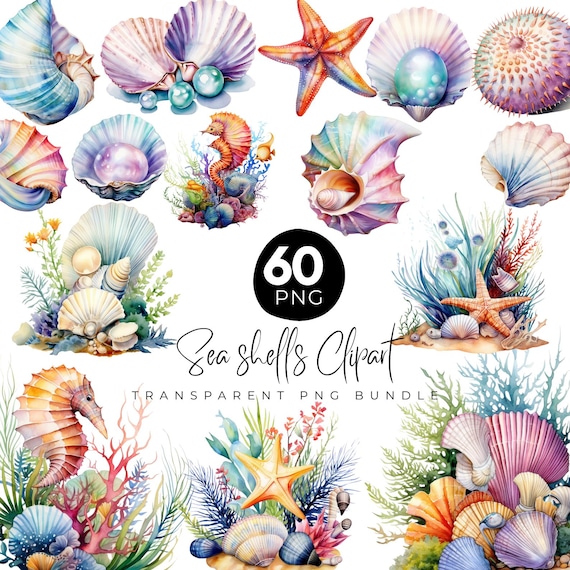 60 Seashells Clipart Bundle, Sea Anemone Clipart Png, Watercolor Seashells, Sea Horse, Sea Life Png, Sea Star, Pearl Shell, Digital Download