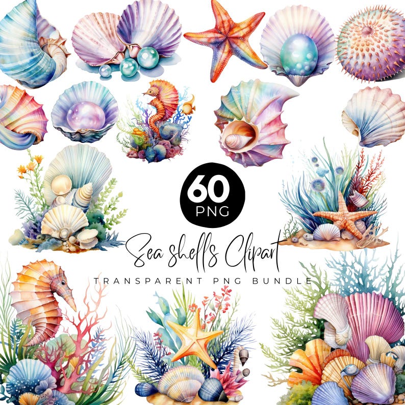 60 Seashells Clipart Bundle, Sea Anemone Clipart Png, Watercolor Seashells, Sea Horse, Sea Life Png, Sea Star, Pearl Shell, Digital Download image 1