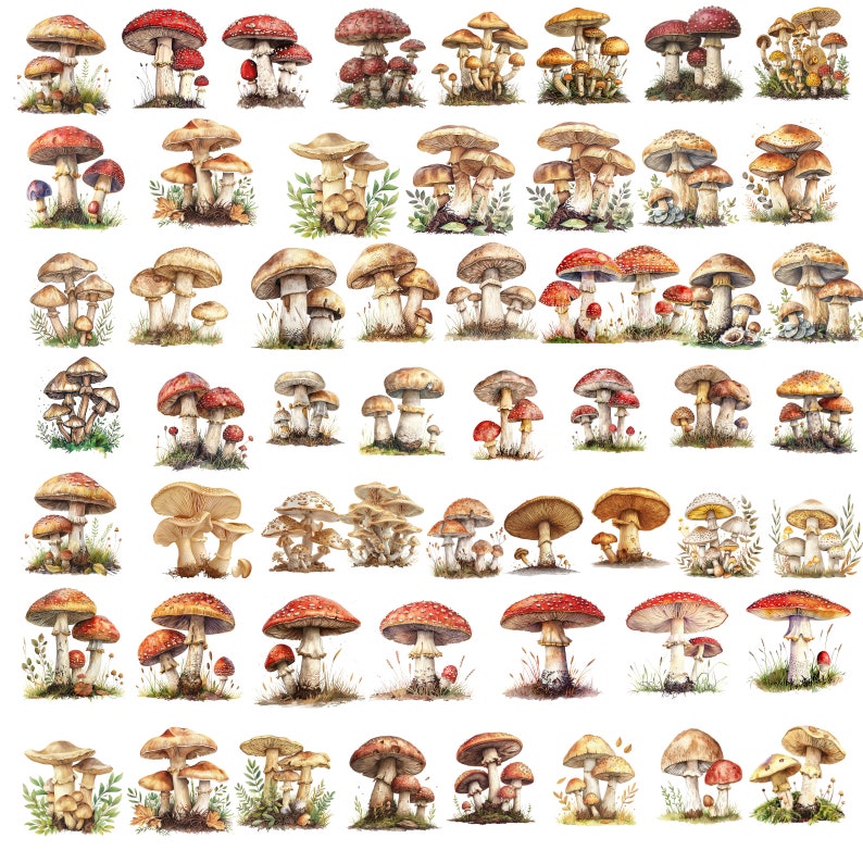 May include: A collection of watercolor illustrations of various mushrooms in different colors and shapes. The mushrooms are depicted in a realistic style with intricate details.