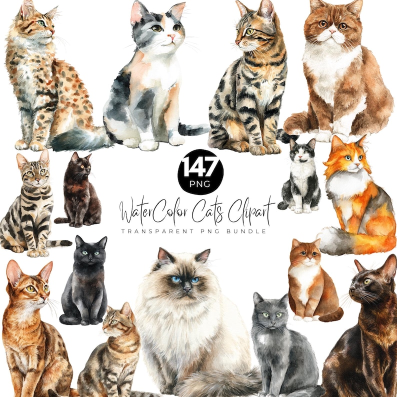 May include: Watercolor clipart featuring various cat breeds in different poses. The image includes a variety of colors and patterns, such as tabby, calico, and solid black. The text "147 PNG" is in a black circle, and the text "WaterColor Cats Clipart" is also included.
