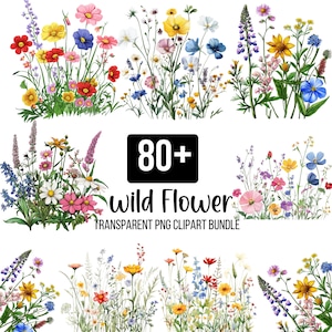 80+ Wildflower Clipart Bundle, Watercolor Wildflower Png, Wildflower Meadow, Watercolor Flower, Scrapbook, Junk Journal, Digital Download