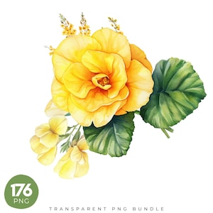 176 Yellow Floral Clipart Png Bundle, Watercolor Yellow Flowers Png, Wedding Flower Sublimation, Yellow Flower, Digital Download