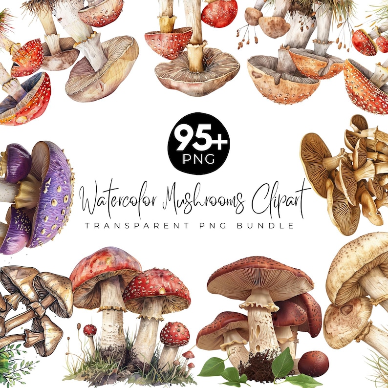 95+ Watercolor Mushrooms Clipart Bundle, Cute Mushroom & Magical Nature Illustrations, Forest Toadstool Graphics, Digital Download image 1