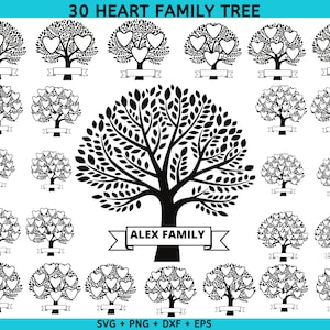 1-30 Members Family tree svg bundle , Family reunion svg, Family tree png files, Family tree branch svg, Tree of life svg