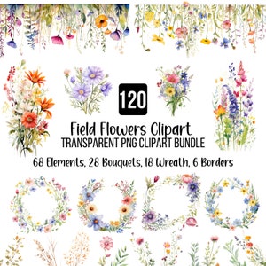 120 Field Flowers Clipart Png Bundle, Akwarelowe kwiaty polne, Kolorowe bukiety, Akwarelowy wieniec Png, Ramki kwiatowe Clipart, Dekoracje kwiatowe