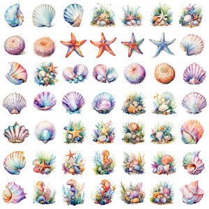 May include: Watercolor illustrations of seashells, starfish, sea urchins, and sea life in various colors and arrangements. The illustrations are on a white background.