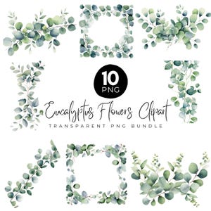 Eucalyptus PNG Bundle, Watercolor Eucalyptus Clipart, Watercolor Botanical PNG, Eucalyptus Corner Border, Eucalyptus Border Wreath