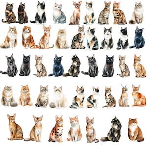 May include: A collection of watercolor paintings of various cat breeds. The cats are depicted in different poses and colors, including tabby, calico, and solid colors. The artwork is detailed and realistic, with a white background.