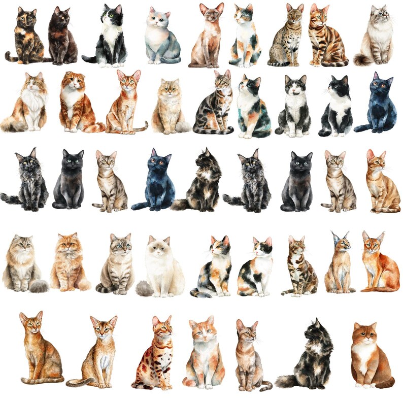 May include: A collection of watercolor paintings of various cat breeds. The cats are depicted in different poses and colors, including tabby, calico, and solid colors. The artwork is detailed and realistic, with a white background.