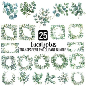 Eucalyptus PNG Bundle, Watercolor Eucalyptus Clipart, Watercolor Botanical PNG, Eucalyptus Corner Border, Eucalyptus Border Wreath