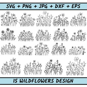 wilde bloemen svg bundel, handgetekende wilde bloemen png, bundel bloem boeket svg, bundel bloemen boeketten svg, botanische svg bundel, Daisy svg