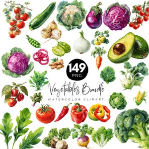 May include: Watercolor clipart of various vegetables, including tomatoes, zucchini, cauliflower, red cabbage, and avocado. The image includes the text "Vegetables Bundle Watercolor Clipart" and "149 PNG".