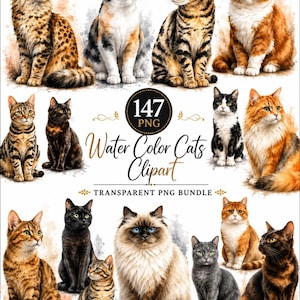 Op de afbeelding: Een collectie van 147 aquarel kattenillustraties met diverse rassen en vachtpatronen, waaronder cyperse, lapjeskatten, effen zwarte en langharige variëteiten. De tekst 147 PNG Water Color Cats Clipart Transparent PNG Bundle staat in het midden.