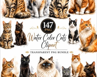 May include: A collection of 147 watercolor cat illustrations featuring various breeds and coat patterns including tabby, calico, solid black, and long-haired varieties. The text 147 PNG Water Color Cats Clipart Transparent PNG Bundle is centered.