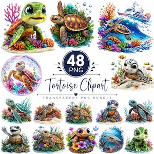 48 sköldpaddor clipart-paket, söta illustrerade sköldpaddor PNG, akvarellsköldpaddor png, sköldpadda clipart, sköldpadda design, baby barnrum clipart