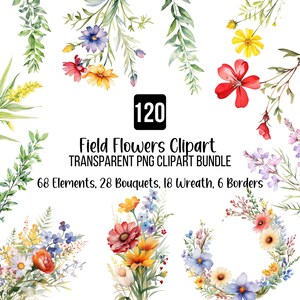 120 Field Flowers Clipart Bundle, Prato di fiori selvatici PNG, Ghirlanda colorata, Cornici floreali Clipart, Piccoli bouquet di fiori Cornici floreali PNG