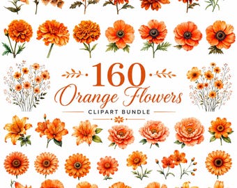 160 Orange Flowers Clipart Bundle, Watercolor Floral Bouquet Png, Orange Flower Png, Spring Floral & Summer Flower PNG, Digital Download