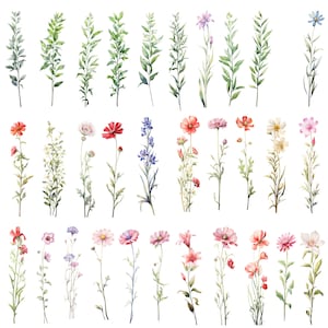 May include: Watercolor illustrations of various flowers and greenery, including blue, pink, red, and white flowers, and green leaves. The flowers are arranged in a vertical row, with each flower separated by a small amount of space.