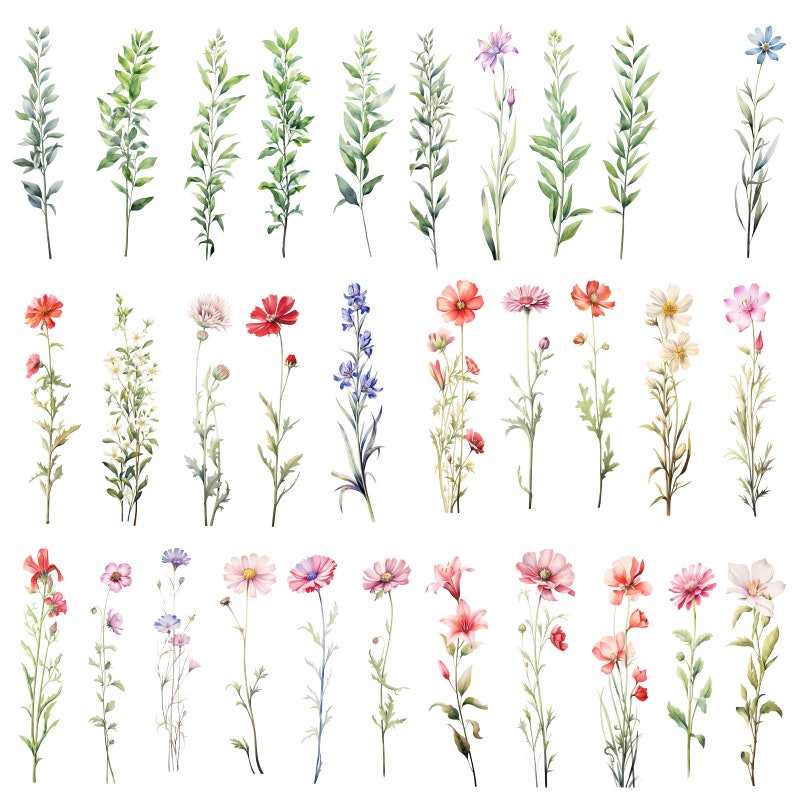 May include: Watercolor illustrations of various flowers and greenery, including blue, pink, red, and white flowers, and green leaves. The flowers are arranged in a vertical row, with each flower separated by a small amount of space.
