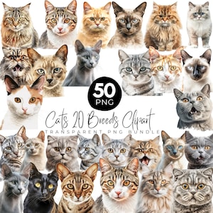 50 Cat Clipart PNG Bundle, 20 Cat Illustration Designs, Cute Cat PNG Portrait Sublimation Print, Cat Lovers  Kitten Graphics PNG