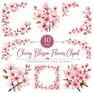 10 Watercolor Cherry Blossom Clipart, Cherry Blossom Flower, Pink Sakura PNG, Floral Branches, Watercolor Pink Floral Png, Digital Download