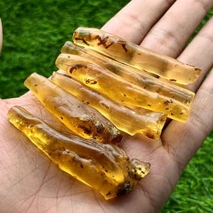May include: A collection of amber pieces, each with a translucent, golden-yellow hue. The amber pieces have irregular shapes and visible inclusions, resting on a hand against a green background.