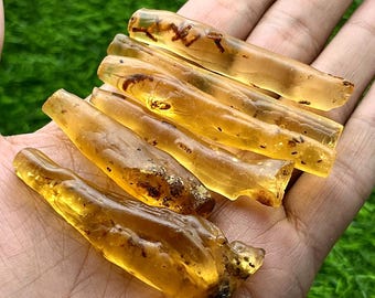 Natuurlijk ruw amber met insecten erin - 1,75 inch - 2,5 inch - ruwe honing gouden amberkristal