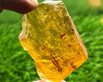 May include: A piece of amber, a translucent, golden-yellow fossilized resin, is held up against a blurred green background. The amber contains visible inclusions of small insects and organic matter, showcasing its natural beauty and age.
