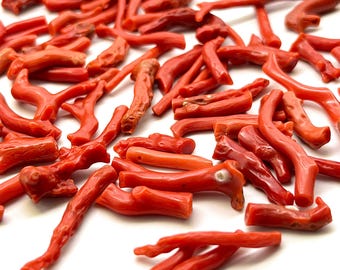 Natural Polished Coral Branch Rough – 50 Carats Raw Coral Specimen for Jewelry Making & Collectors