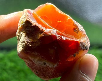May include: A raw, translucent orange carnelian gemstone with a smooth, polished interior surface and a rough, textured outer edge. The stone exhibits deep red and bright orange hues, showcasing natural fractures and crystalline structures.