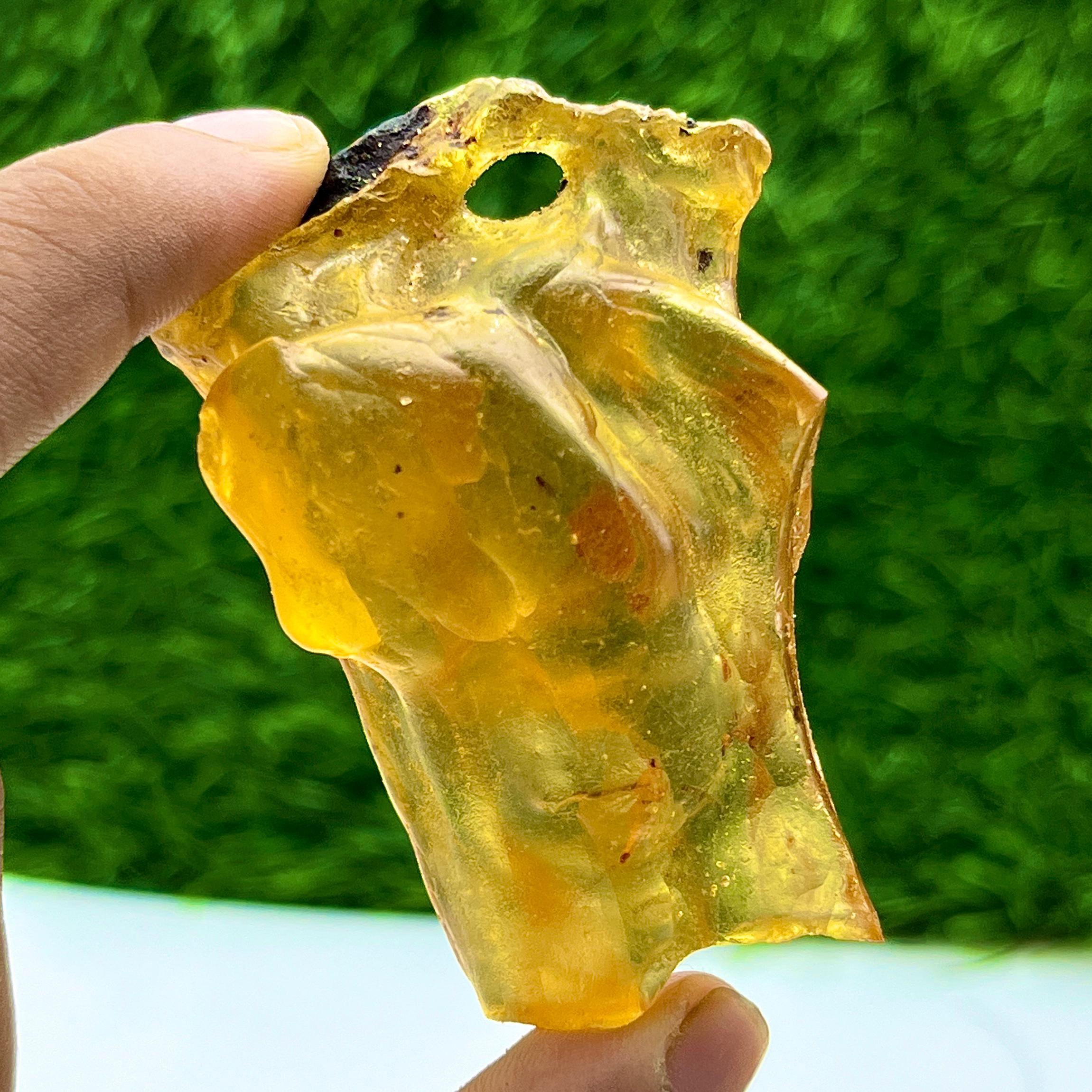昆虫入りの希少な大粒琥珀原石｜ジュエリー制作、コレクション