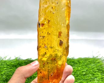 数百万年もの間閉じ込められていたクモ虫入り琥珀 | バルト海産琥珀に