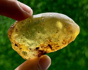 May include: A translucent, irregular, raw amber-colored stone with a textured, pitted surface and internal golden-yellow hues. The specimen features dark brown inclusions and organic-looking mineral deposits scattered throughout its structure.