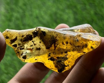 96カラットの天然琥珀原石（昆虫入り）｜ジュエリー制作、収集、ヒーリングに使える天然琥珀ナゲット｜本物の化石樹脂