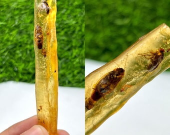 Natural Big Amber Rough Sticks with Insects Inside – Genuine Fossil Resin, Raw Amber for Collecting, Jewelry Making & Display