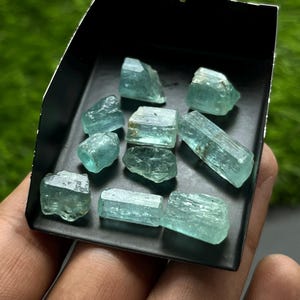 Puede incluir: Una colección de nueve cristales de aguamarina en bruto de color azul claro con estructuras translúcidas, hexagonales y prismáticas. Estas piedras naturales presentan formas y tamaños variados, mostrando un tono azul hielo pálido.