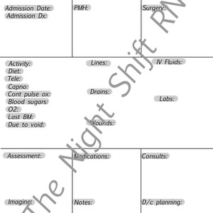 Nursing report sheet- no labs