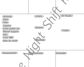Nursing report sheet- no labs