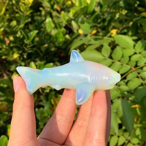 May include: A small, iridescent white opal shark figurine. The shark is carved in a realistic style and has a smooth, polished finish.