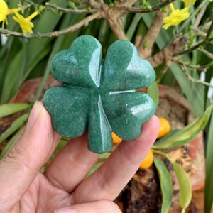 Può includere: Un quadrifoglio scolpito in giada verde. Il quadrifoglio è liscio e lucido, con una finitura lucida.