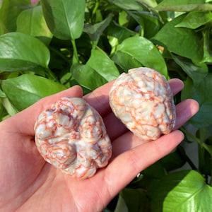 May include: Two white and red brain-shaped stones with a marbled pattern.