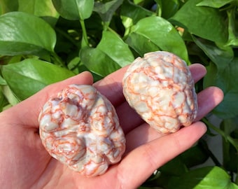 2" Natural Red Network Stone Brain,Quartz Brain,Crystal Brain,Brain Sculpture,Brain Model,Mineral Specimen,Crystal Gifts,Home Decor