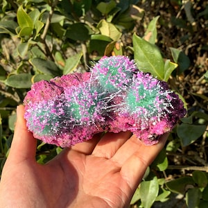 Peut inclure: Un rocher de corail rose et vert avec des excroissances blanches et vertes en forme de pointes. Le corail est tenu dans une main.