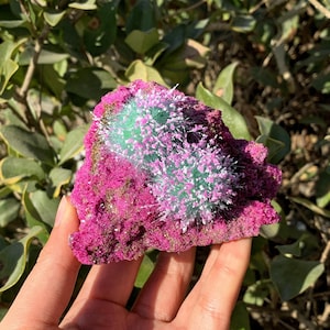 Peut inclure: Un amas de cristaux rose et vert avec une surface textur&eacute;e et h&eacute;riss&eacute;e. Le cristal est une formation naturelle avec une apparence unique et color&eacute;e.