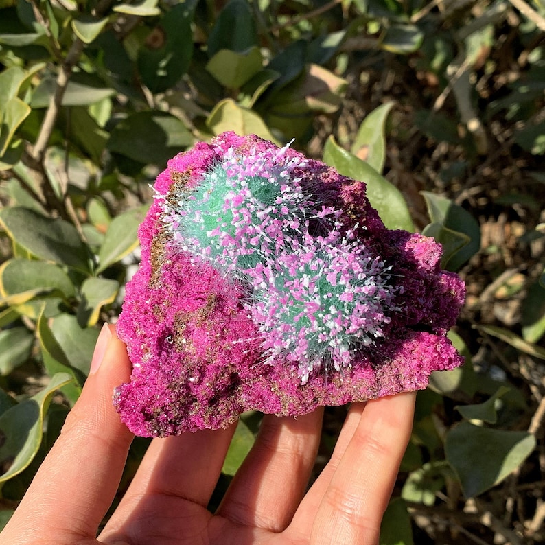 Peut inclure: Un amas de cristaux rose et vert avec une surface textur&eacute;e et h&eacute;riss&eacute;e. Le cristal est une formation naturelle avec une apparence unique et color&eacute;e.