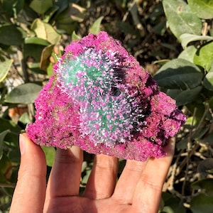 Peut inclure: Une roche rose et verte avec une texture unique et piquante. La roche a un amas de cristaux blancs et verts sur un c&ocirc;t&eacute;.